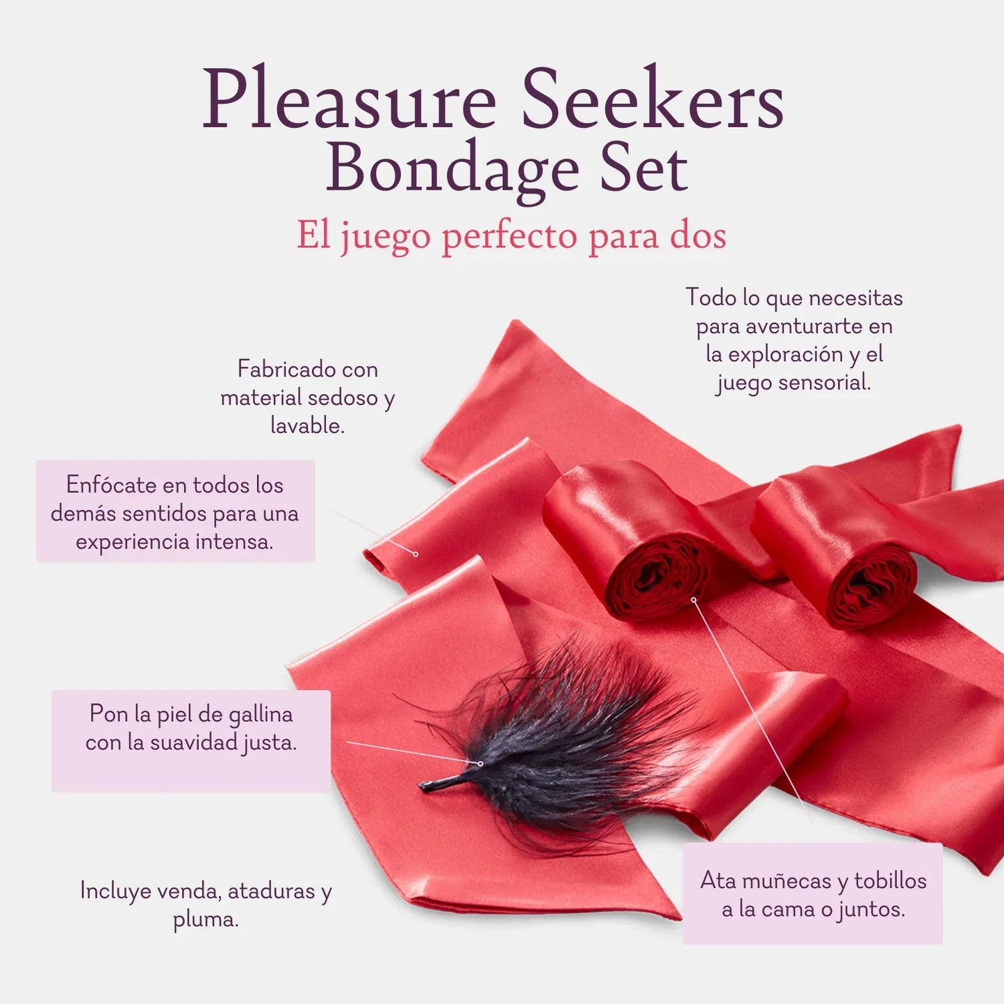Pleasure Seekers Play Set (SET DE JUEGO PARA DOS)